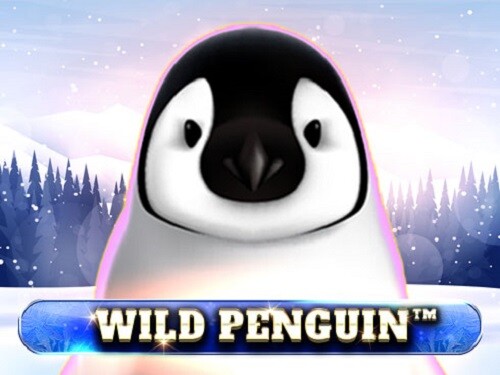 와일드 펭귄 Wild Penguin