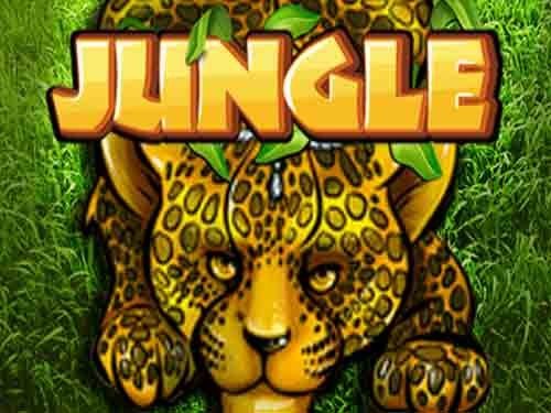 정글 Jungle