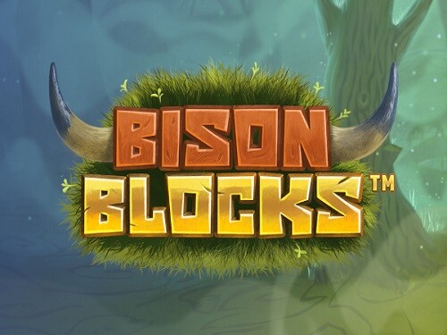 바이슨 블록스 Bison Blocks
