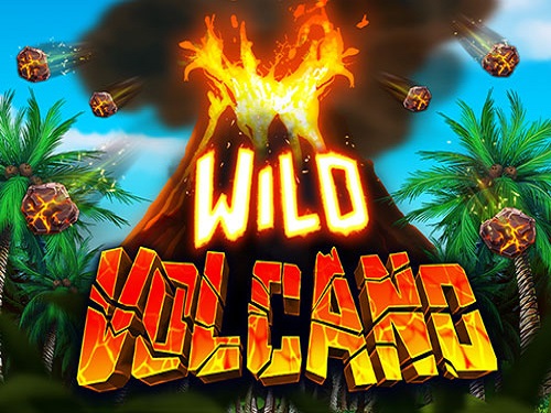 와일드 볼케이노 Wild Volcano