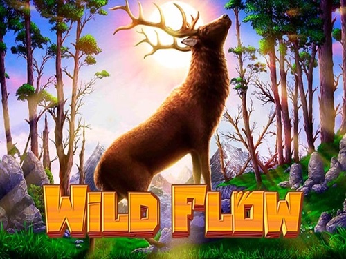 와일드 플로우 Wild Flow