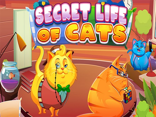 시크릿 라이프 오브 캣츠 Secret Life Of Cats