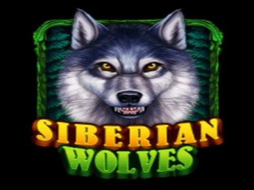 시베리안 울브스 Siberian Wolves