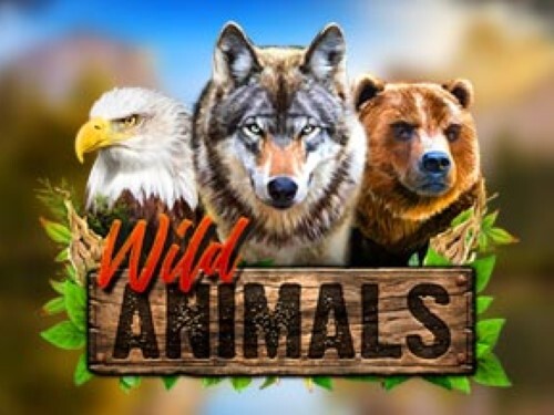 와일드 애니멀스 Wild Animals