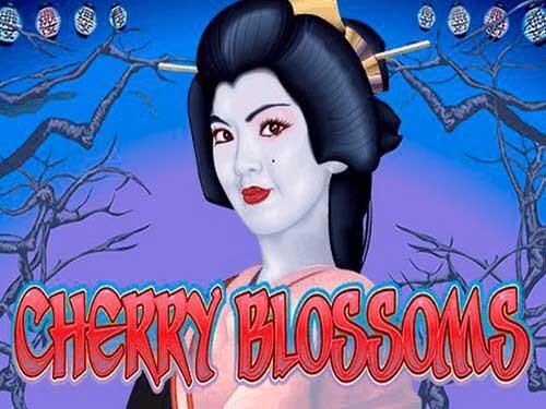 체리 블로섬스 Cherry Blossoms
