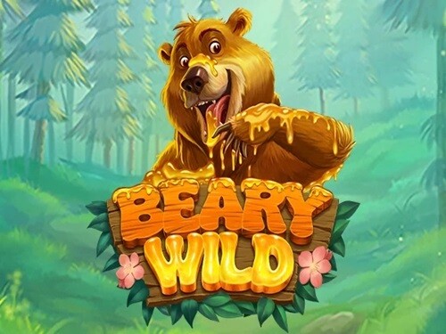 베어리 와일드 Beary Wild