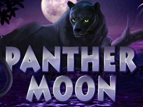 팬서 문 Panther Moon