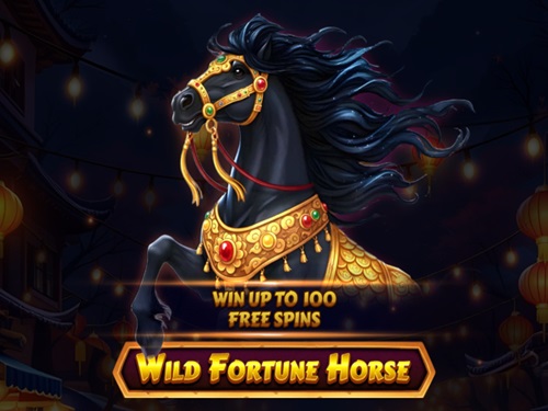 와일드 포춘 호스 Wild Fortune Horse