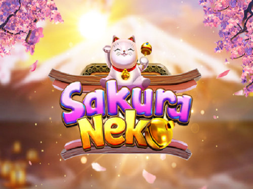 사쿠라 네코 Sakura Neko