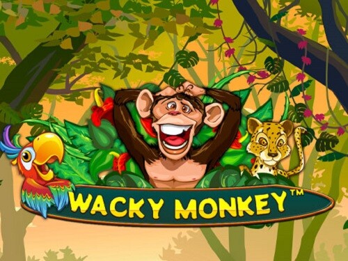 왜키 몽키 Wacky Monkey