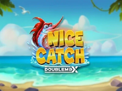 나이스 캐치 더블맥스 Nice Catch DoubleMax