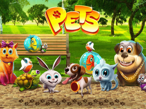 펫츠 96 Pets 96