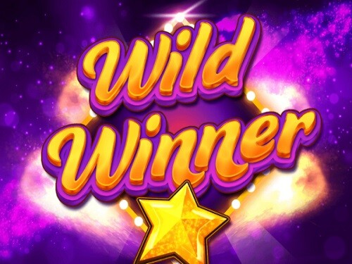 와일드 위너 Wild Winner