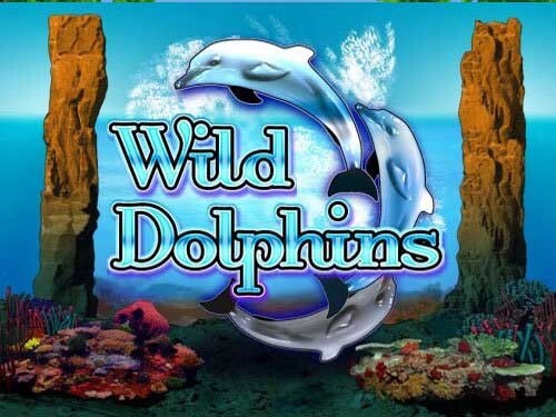 와일드 돌핀스 Wild Dolphins