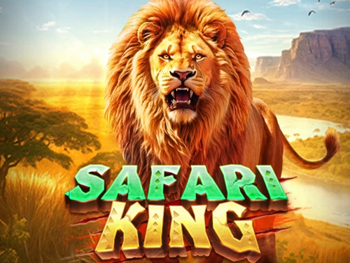 사파리 킹 Safari King