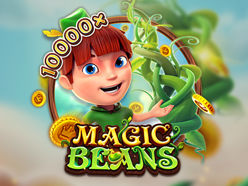 매직 빈스 Magic Beans