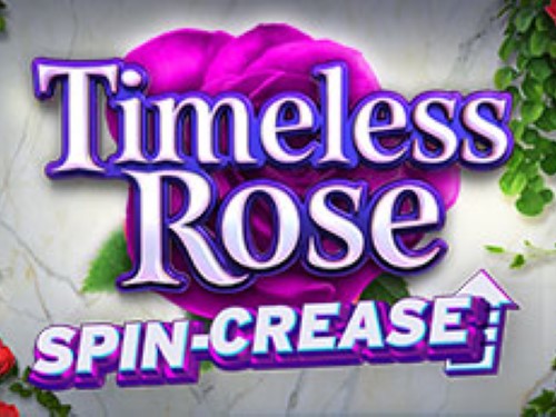 타임리스 로즈 Timeless Rose