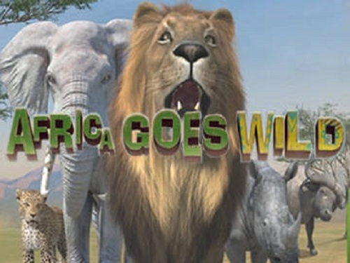 아프리카 고스 와일드 Africa Goes Wild