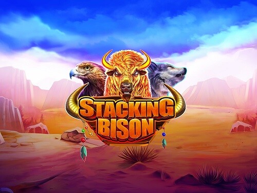 스태킹 바이슨 Stacking Bison