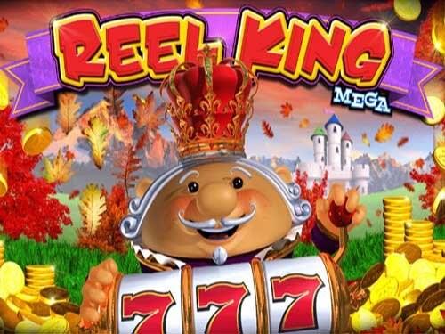 릴 킹 메가 Reel King Mega