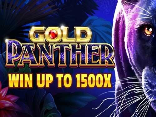 골드 팬서 Gold Panther
