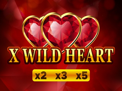 엑스 와일드 하트 X Wild Heart