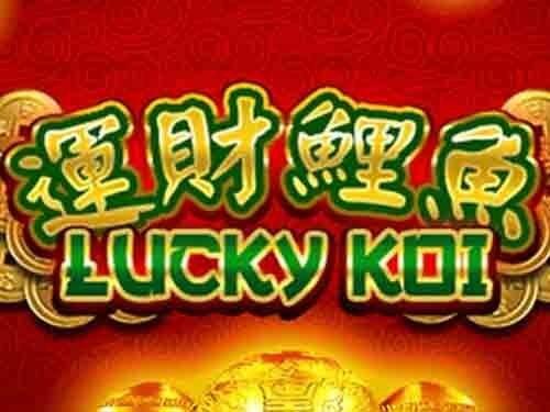 럭키 코이 Lucky Koi