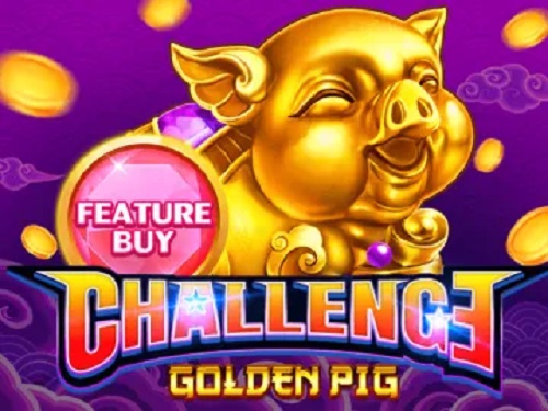 피처 바이 골든 피그 Feature Buy Golden Pig