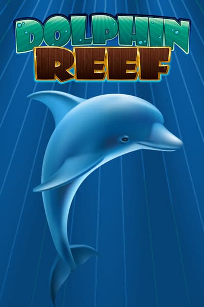 돌핀 리프 Dolphin Reef