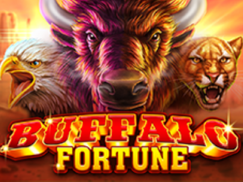 버팔로 포춘 Buffalo Fortune