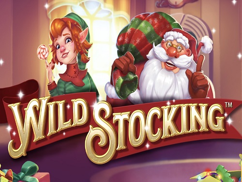 와일드 스타킹 Wild Stocking