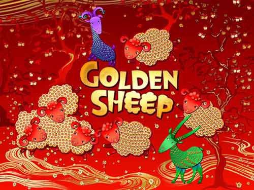 골든 십 Golden Sheep