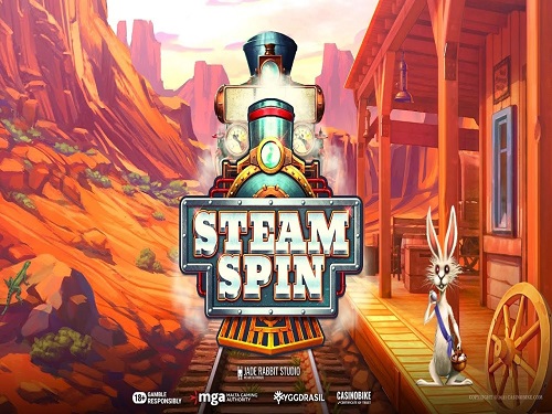 스팀스핀 SteamSpin