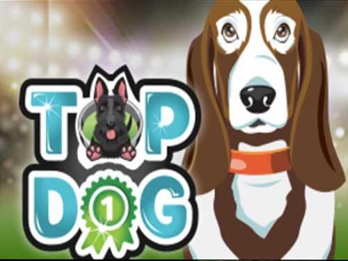 탑 독 Top Dog