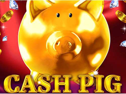 캐시 피그 Cash Pig