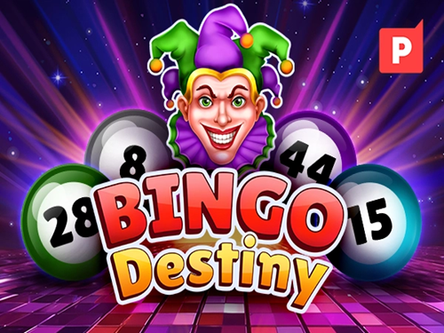 빙고 데스티니 Bingo Destiny