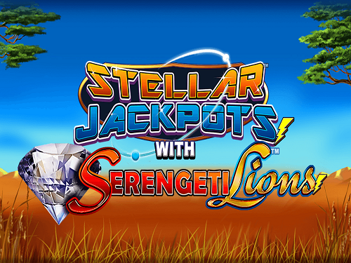 스텔라 세렝게티 라이온스 Stellar Serengeti Lions