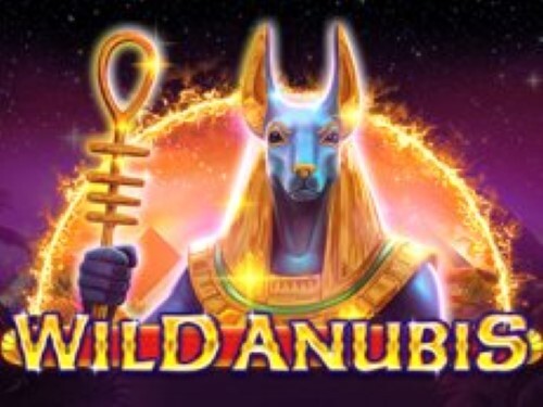 와일드 아누비스 Wild Anubis
