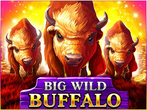 빅 와일드 버팔로 Big Wild Buffalo
