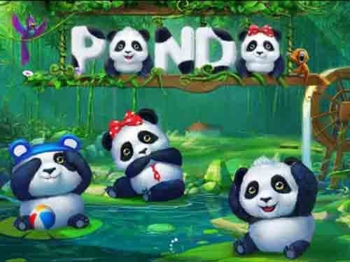판다 Panda