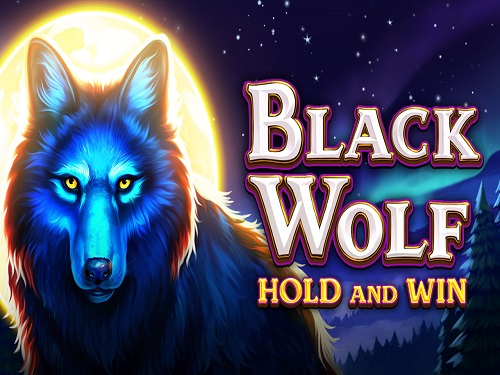 블랙 울프 Black Wolf