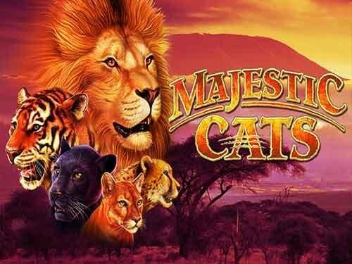 마제스틱 캣츠 Majestic Cats