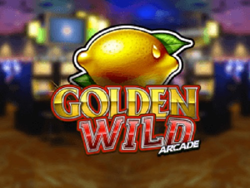 골든 와일드 아케이드 Golden Wild Arcade