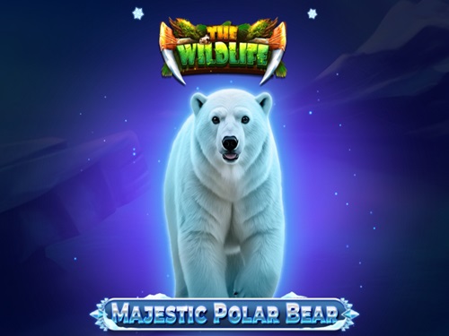 마제스틱 폴라 베어 Majestic Polar Bear