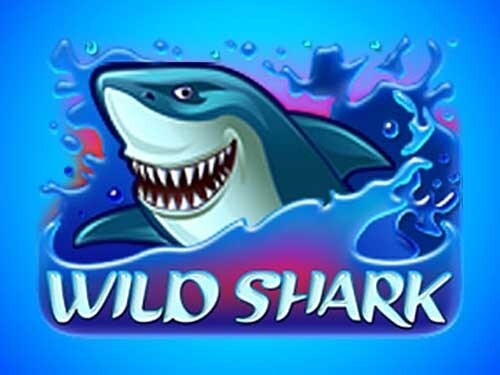 와일드 샤크 Wild Shark