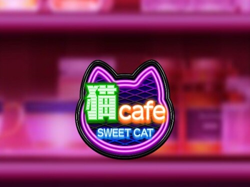 스위트 캣 카페 Sweet Cat Cafe