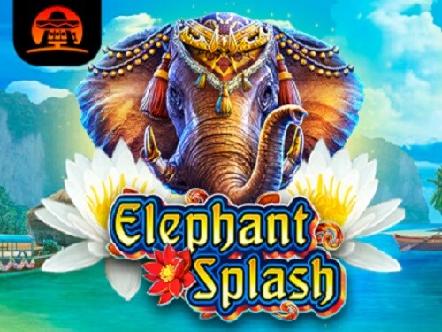 엘리펀트 스플래시 Elephant Splash