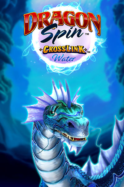 드래곤 스핀 크로스링크 워터 Dragon Spin CrossLink Water