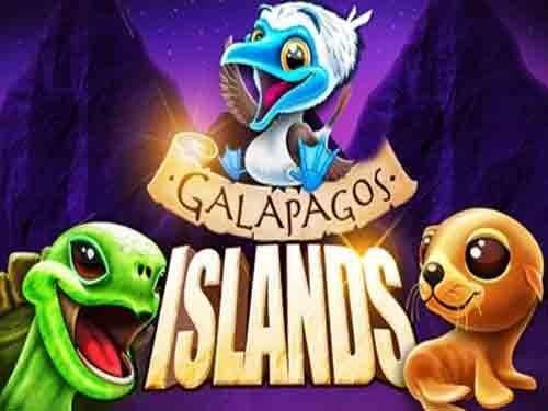 갈라파고스 아일랜즈 Galapagos Islands