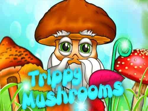트리피 머쉬룸스 Trippy Mushrooms